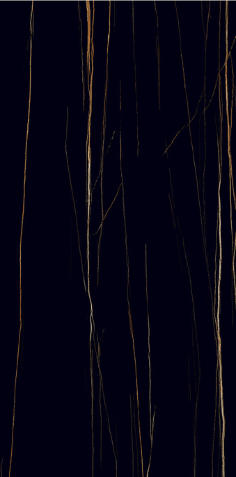 SHBG6012_1-1.png